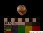 L_V22d6520 A16q839.2 Tx06 dM sh f318.JPG L_V22d6520 A16q839.2 Tx06 dM sh f318